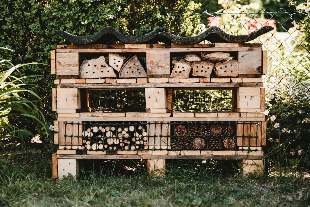 An insects hotel for different animals! It's built from pallets and different natural materials. #upcycling