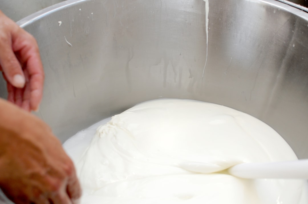 Handcrafted and traditional processing of real mozzarella from southern Italy. The mozzarella production process uses a method called "mozzatura" which means cutting by hand. This is where the term mozzarella comes from